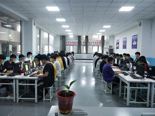 計(jì)算機(jī)網(wǎng)絡(luò)工程 計(jì)算機(jī)專業(yè)中最受歡迎的設(shè)計(jì)與施工領(lǐng)域